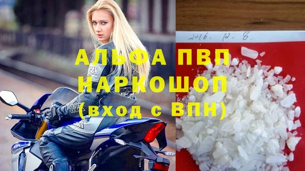 стаф Карпинск